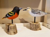 "Oriole" and "Sanderling" by Ernie Mauldin