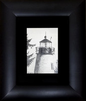 "Havre de Grace Lighthouse V" by Larry Priebe